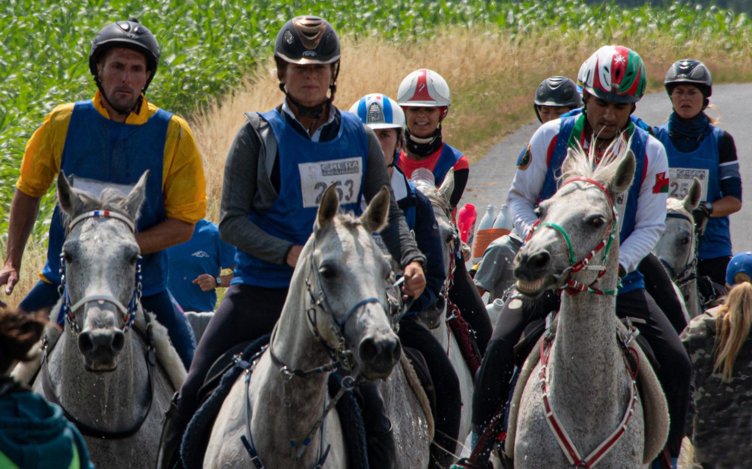160-km-de-florac-pr-sentations-des-courses-hippiques-de-florac-et-d